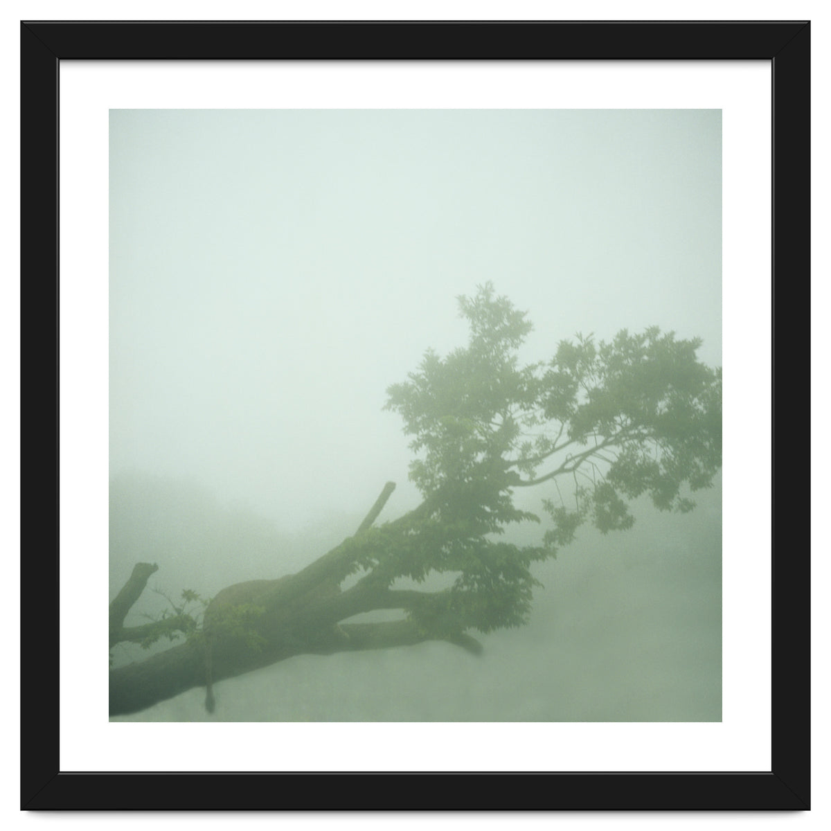 Silence of breath - 07