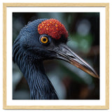 Black Crane Bird Head With Red Crown And Raindrops thumbnail