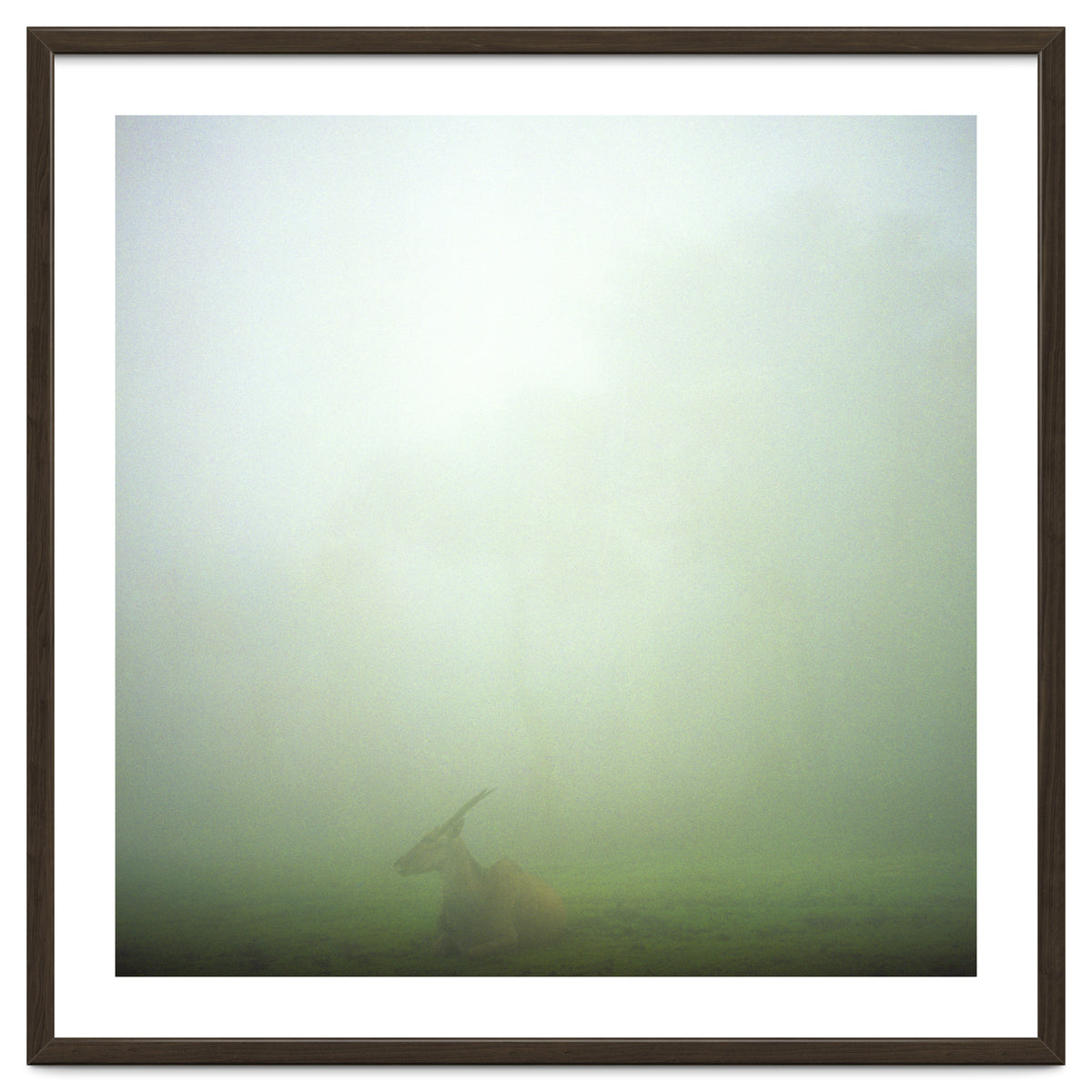 Silence of breath - 06