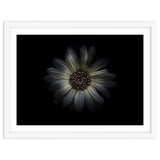 Backyard Flowers No 27 Color Version thumbnail