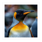King Penguin With Water Droplets On Its Head (Print Only) thumbnail