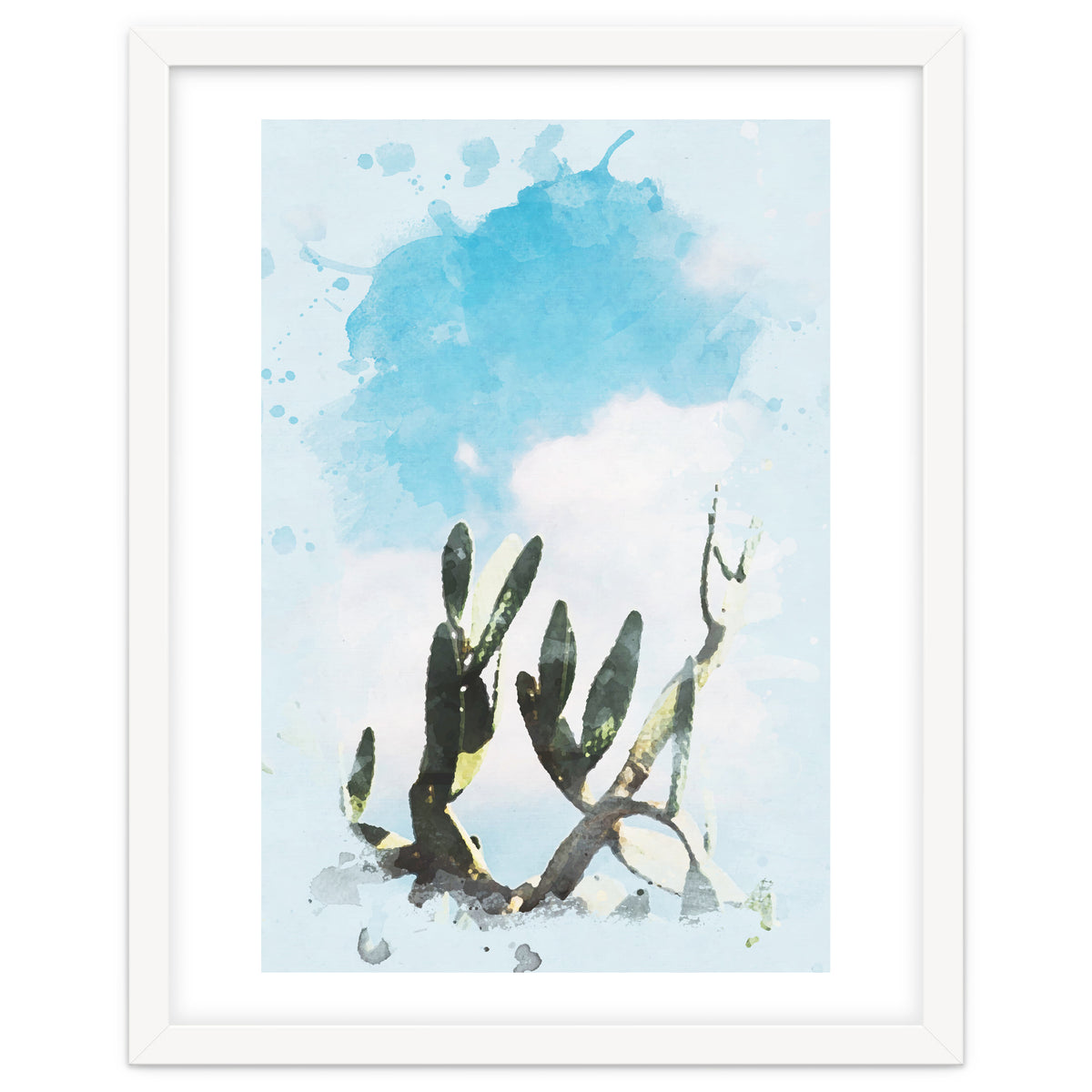 Cactus & Sky