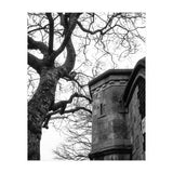 Stark Contrast (Print Only) thumbnail