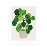 Pilea Plant (Print Only) thumbnail