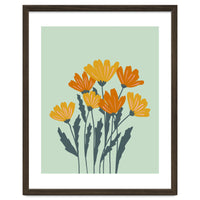 Orange and Yellow Flowers