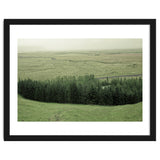 Small forest - Iceland thumbnail