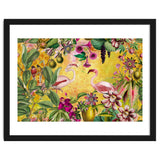 Flamingo Island thumbnail