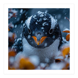 Close Up Of A Gentoo Penguin In The Snow (Print Only) thumbnail