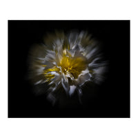 Backyard Flowers No 25 Color Flow Version (Print Only)