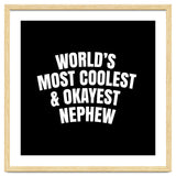 World's most coolest and okayest nephew thumbnail