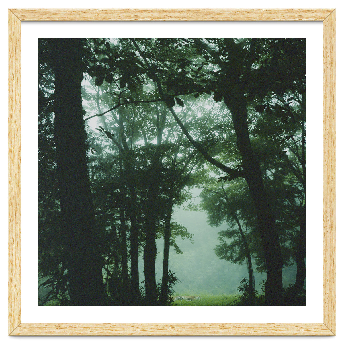 Silence of breath - 13