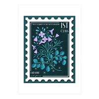 The Cheshire Cuckooflower Postage Stamp (Print Only)