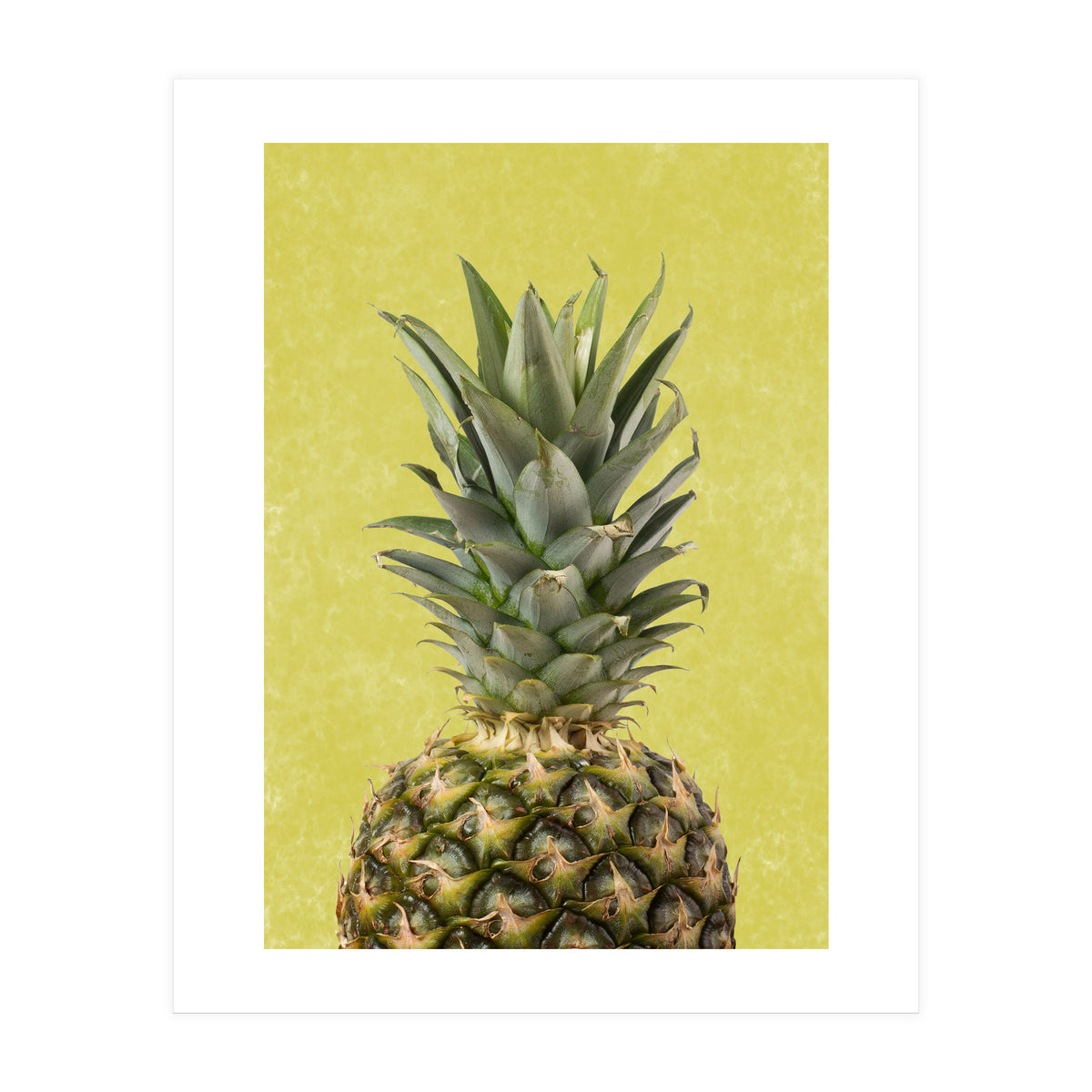 Pineapple Crown, Tropical Summer Fruit Art (Print Only)