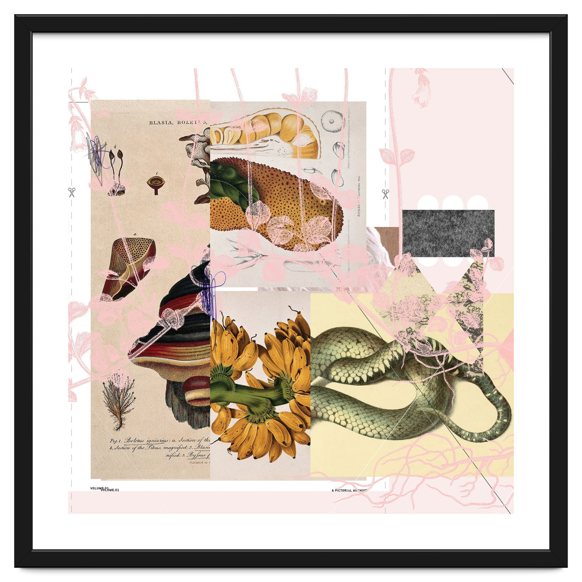 Abstract White Daydream Flower