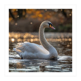 Graceful Swan Gliding On Reflective Water Surface (Print Only) thumbnail