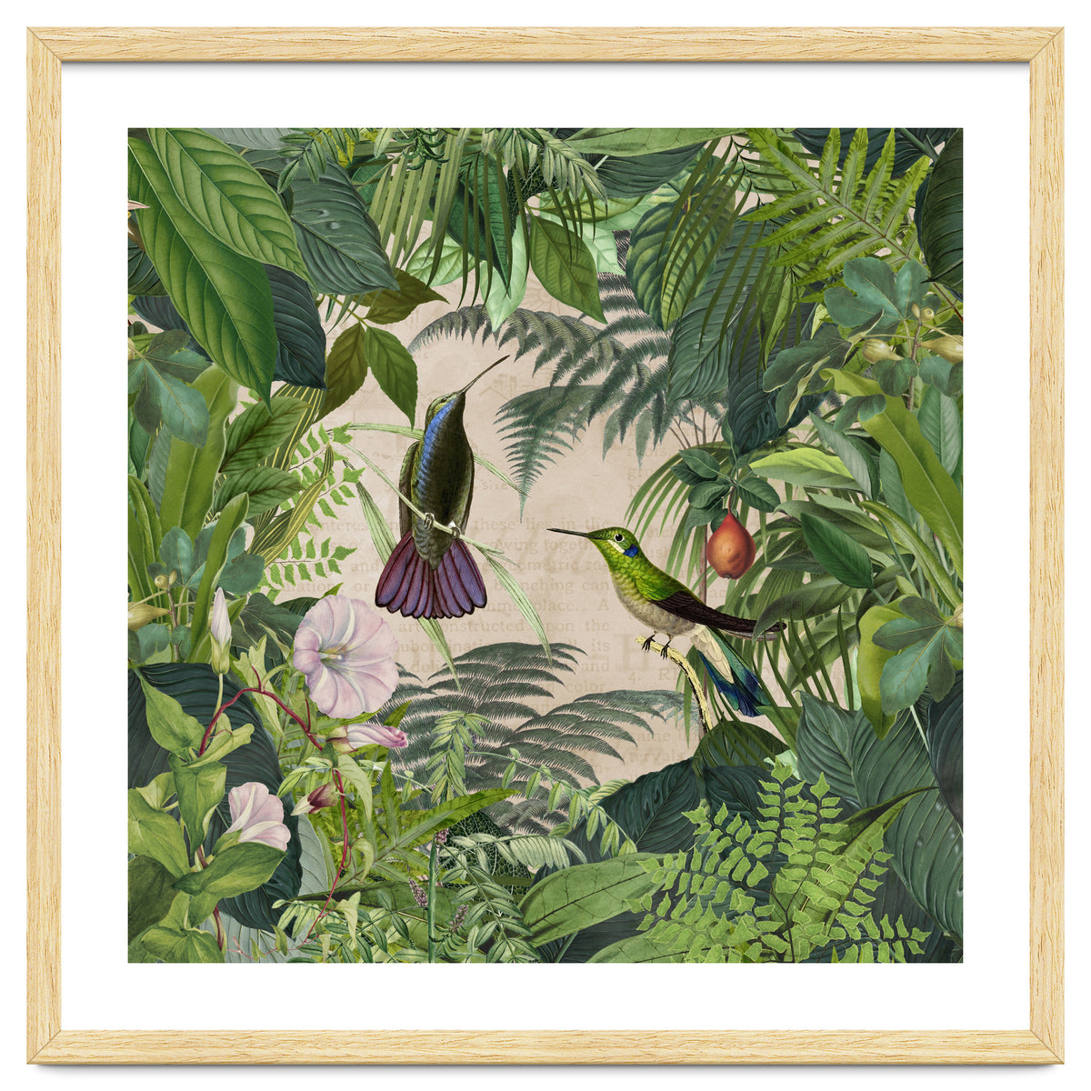 Tropical Hummingbird Jungle