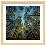 Enchanted Night Forest with Glowing Fireflies thumbnail