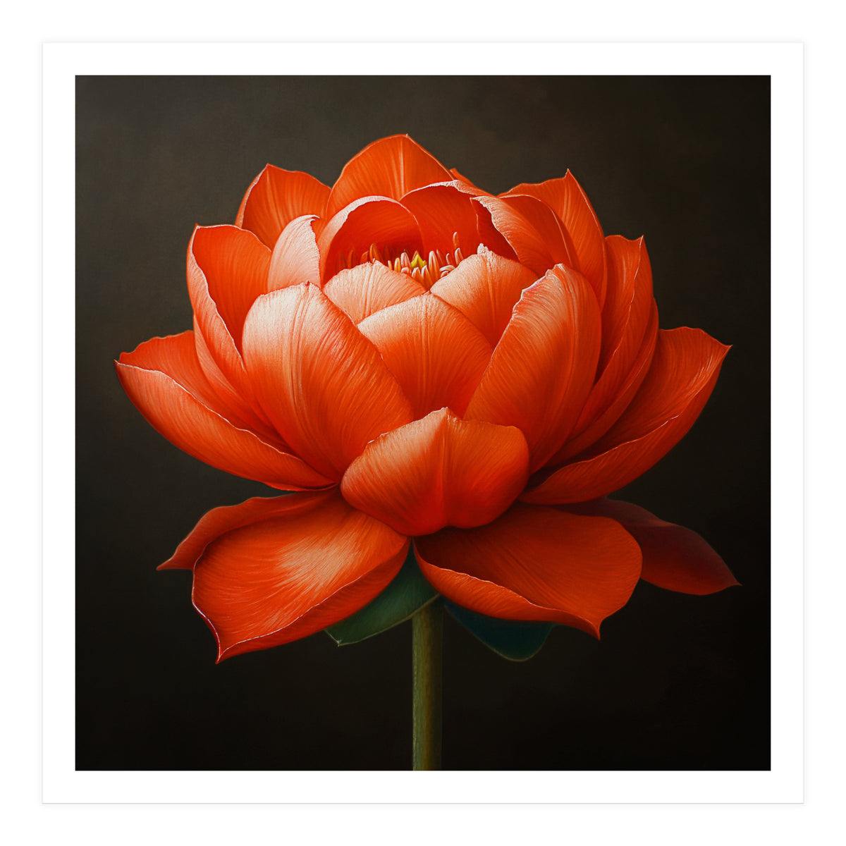 Double Lotus | Scarlet Solace (Print Only)