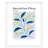Australian Flora: Golden Wattle thumbnail