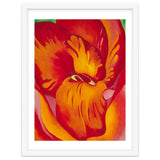 Georgia O’Keeffe – Canna Red and Orange (1926) | Vibrant Modernist Floral Painting in Bold Organic Forms thumbnail