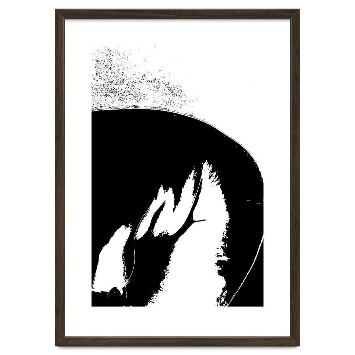Black & White Study III
