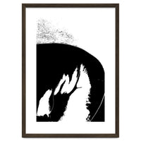 Black & White Study III