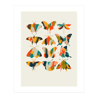 Colorful Butterflies (Print Only)