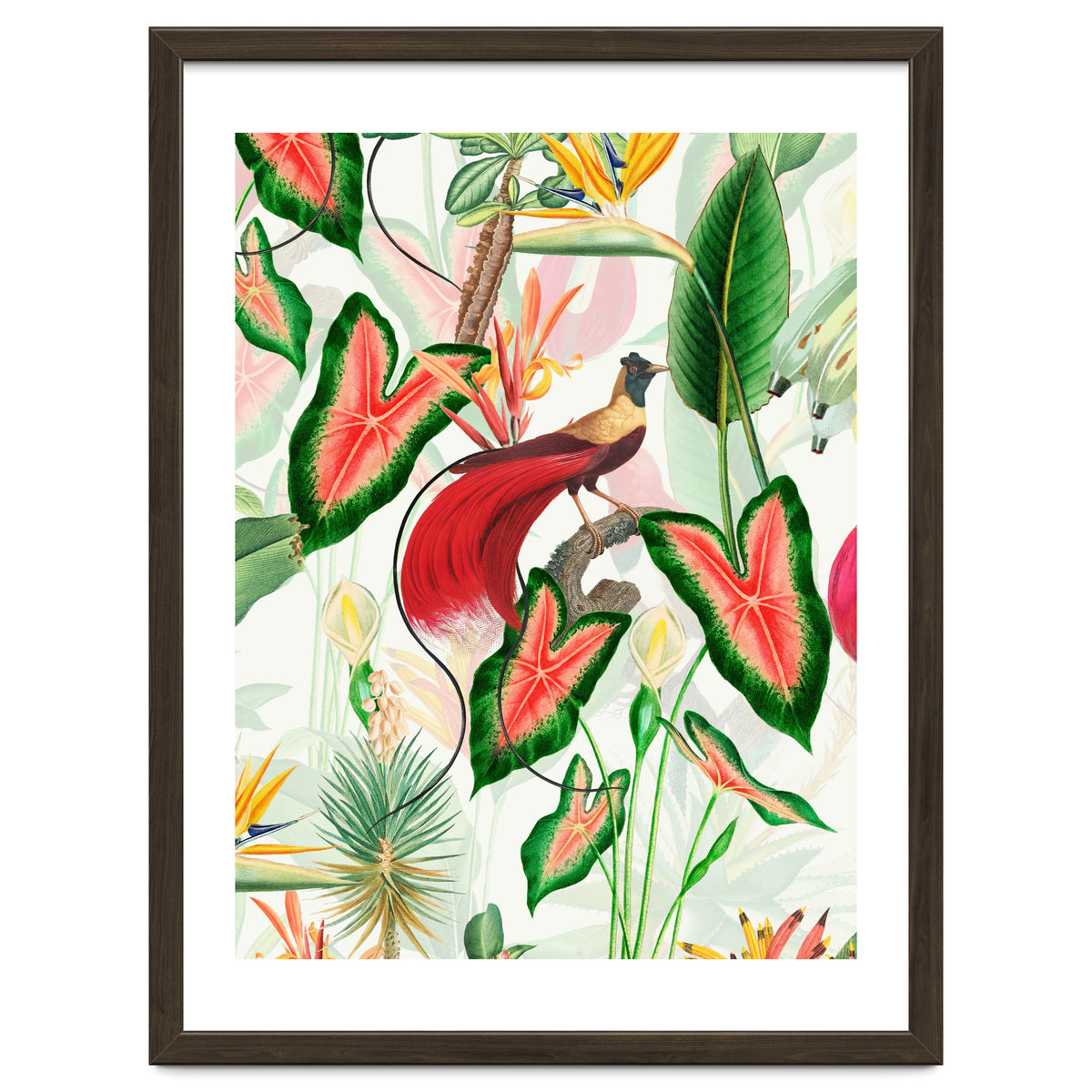 Vintage Bird Of Paradise in Jungle