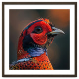 Close Up Pheasant Bird thumbnail