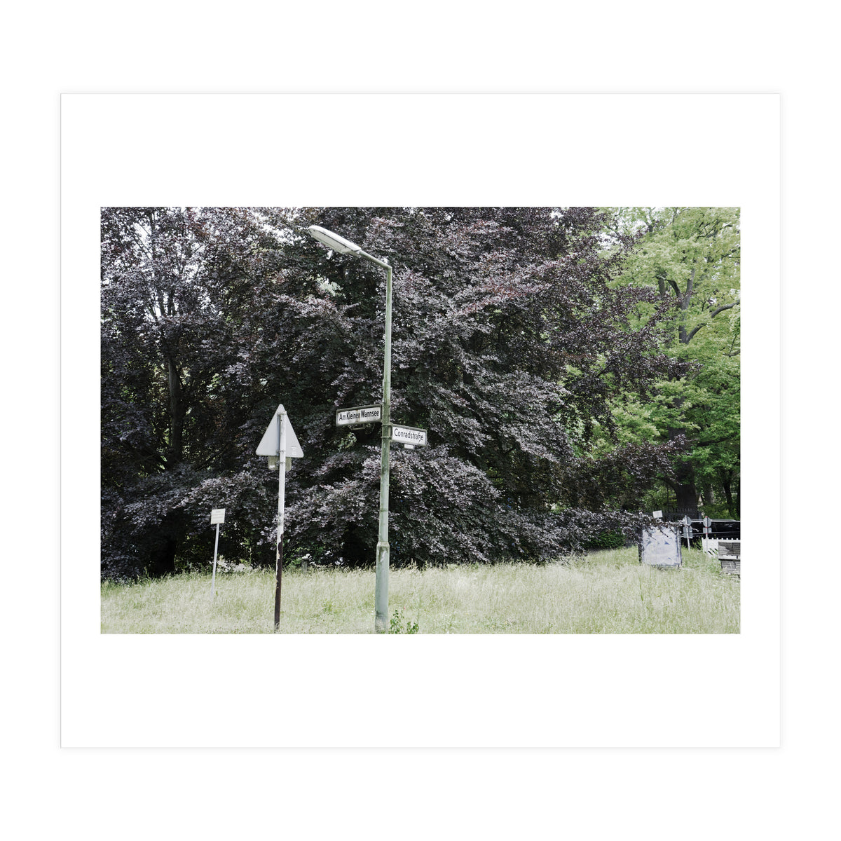 Signs at the corner of the street (Print Only)