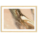 Coastal Dunes thumbnail