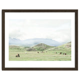 Relaxing horses on a sunny day calm field - Iceland thumbnail