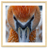 Close Up Of A Pelican's Beak With Water Droplets thumbnail