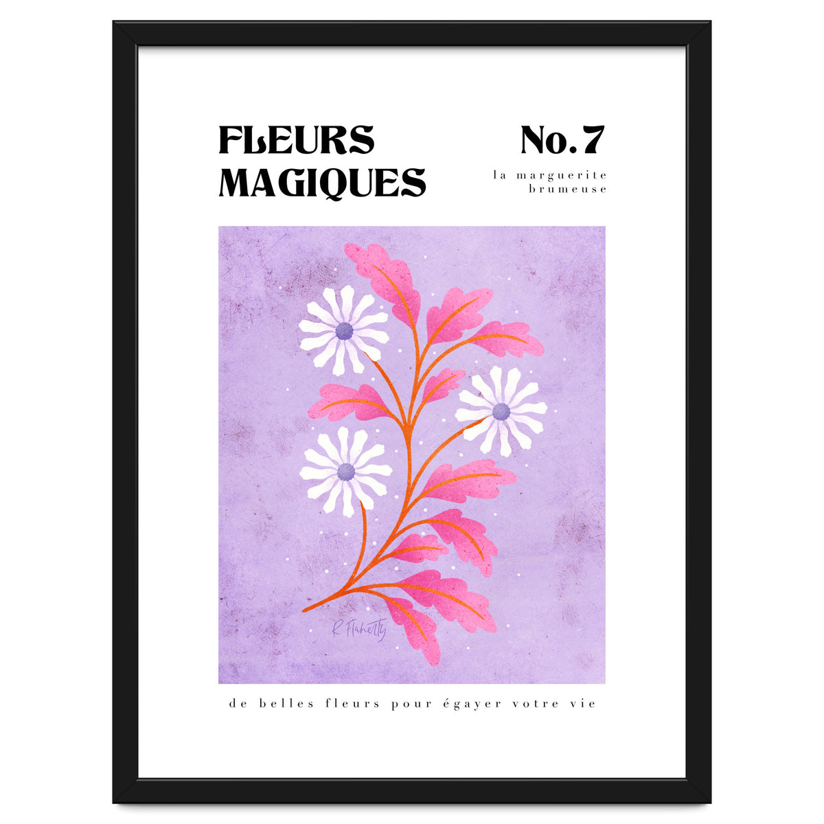 Magical Flowers No.7 Hazy Daisy