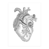 What You Love (Print Only) thumbnail