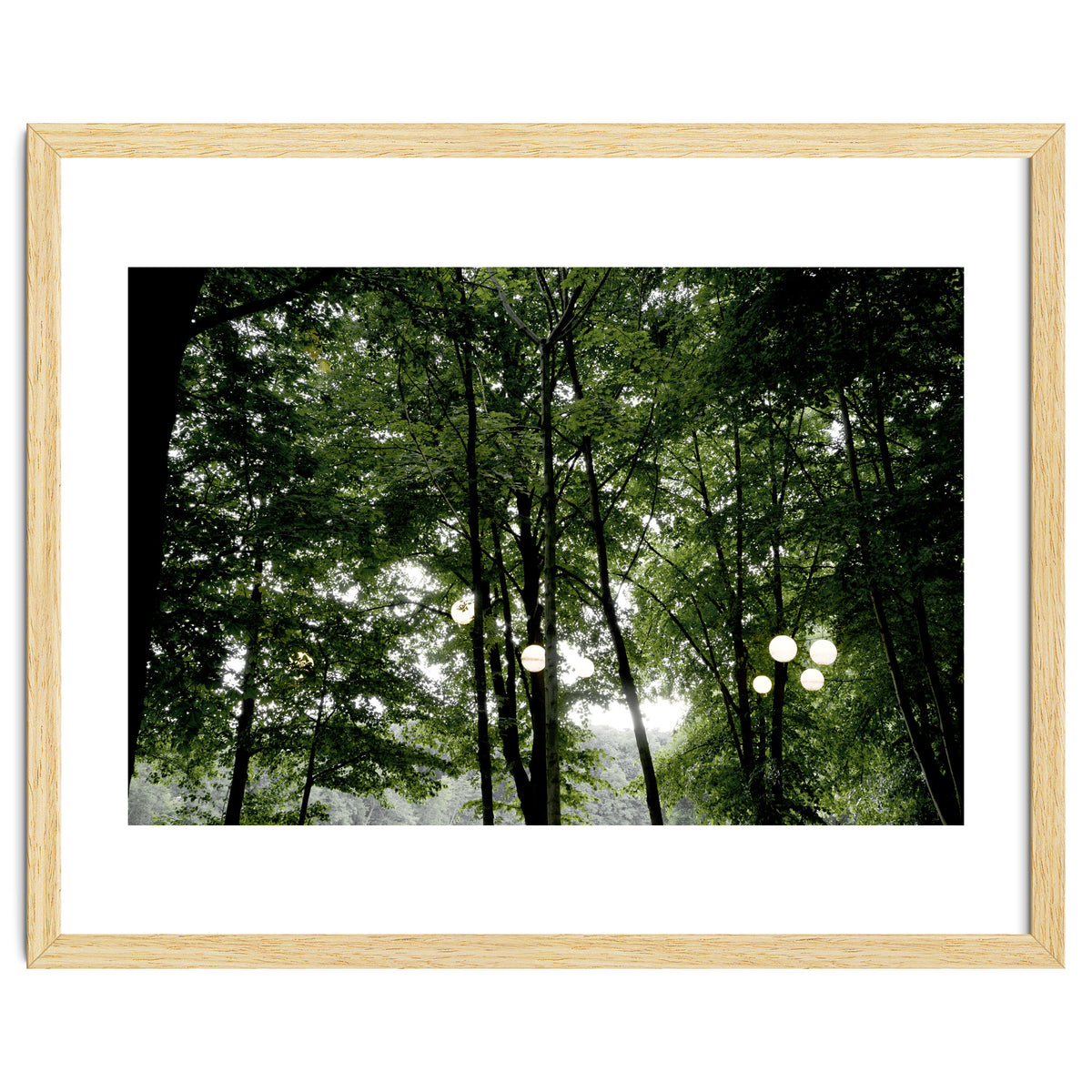 Light bulb among the trees in the summer forest