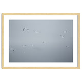 Flying seagulls in the winter sky thumbnail