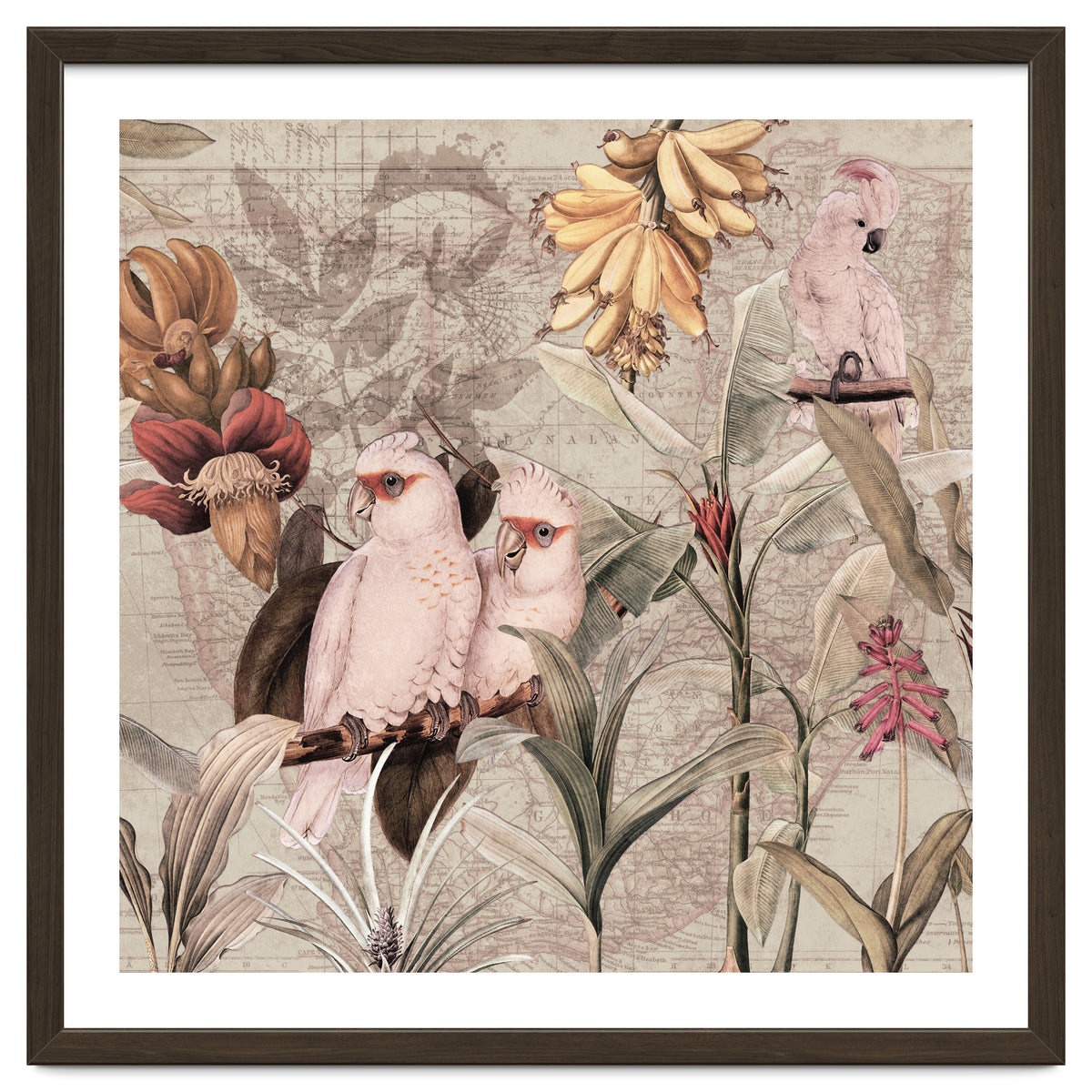 Cockatoo Exotic Bird Jungle