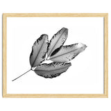 Branches and Leaves, 2016, 1 thumbnail