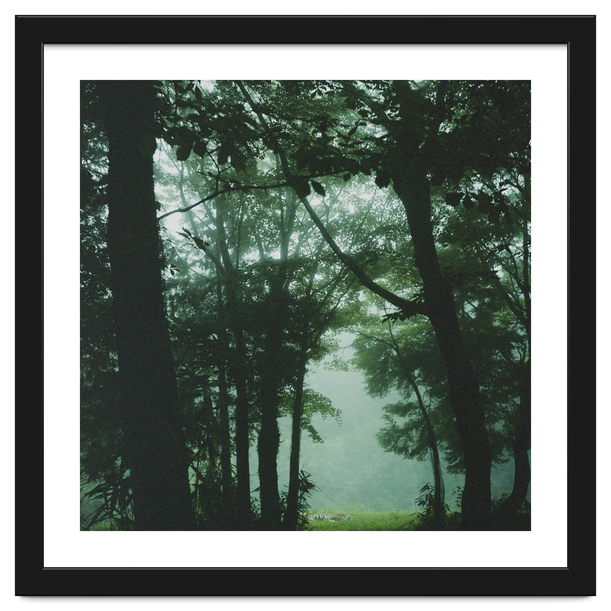 Silence of breath - 13