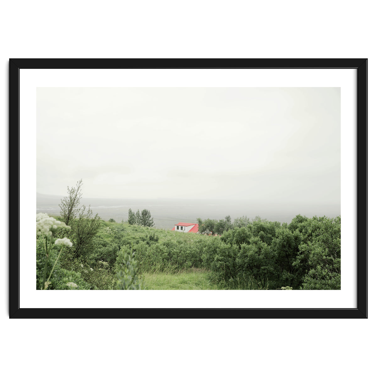 Red Roof house in between the summer green field - Iceland
