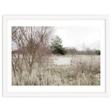 Abandoned Sofa in the middle of nowhere thumbnail