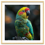Vibrant Amazon Parrot Perched On A Branch thumbnail