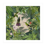Tropical Hummingbird Jungle (Print Only) thumbnail