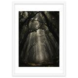 Enchanted Canopy: Mystical Forest Path thumbnail