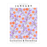 Carnation & Snowdrop January Birth Flower (Print Only) thumbnail