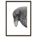 Huginn thumbnail