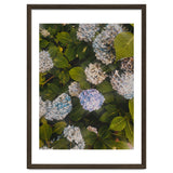 Hydrangeas | Portrait thumbnail