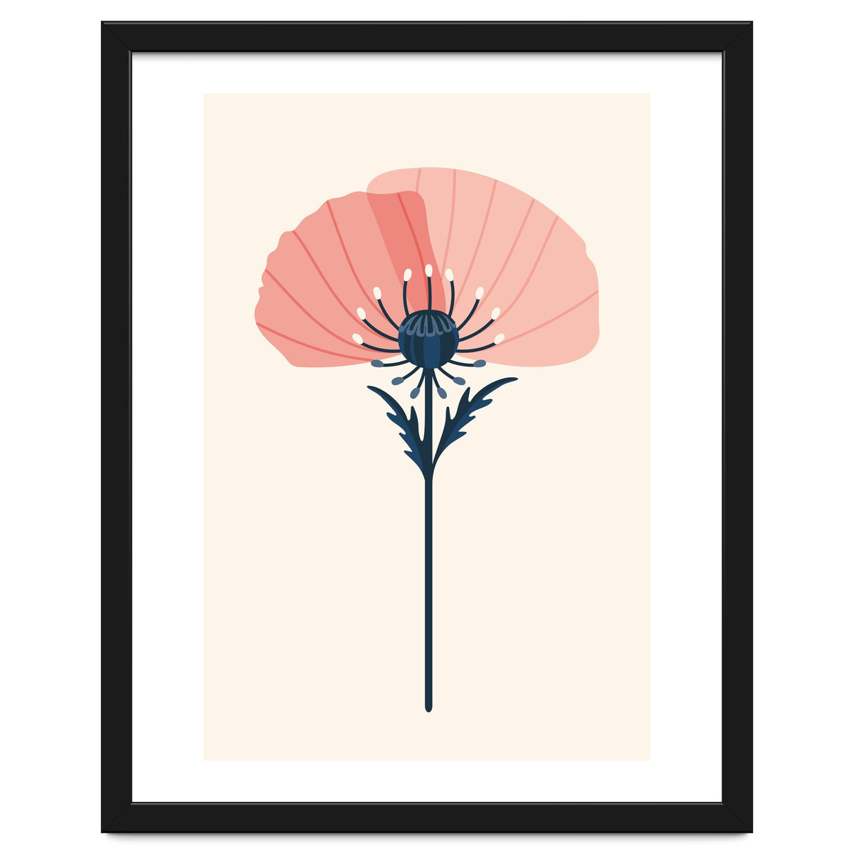 Pink Half Poppy