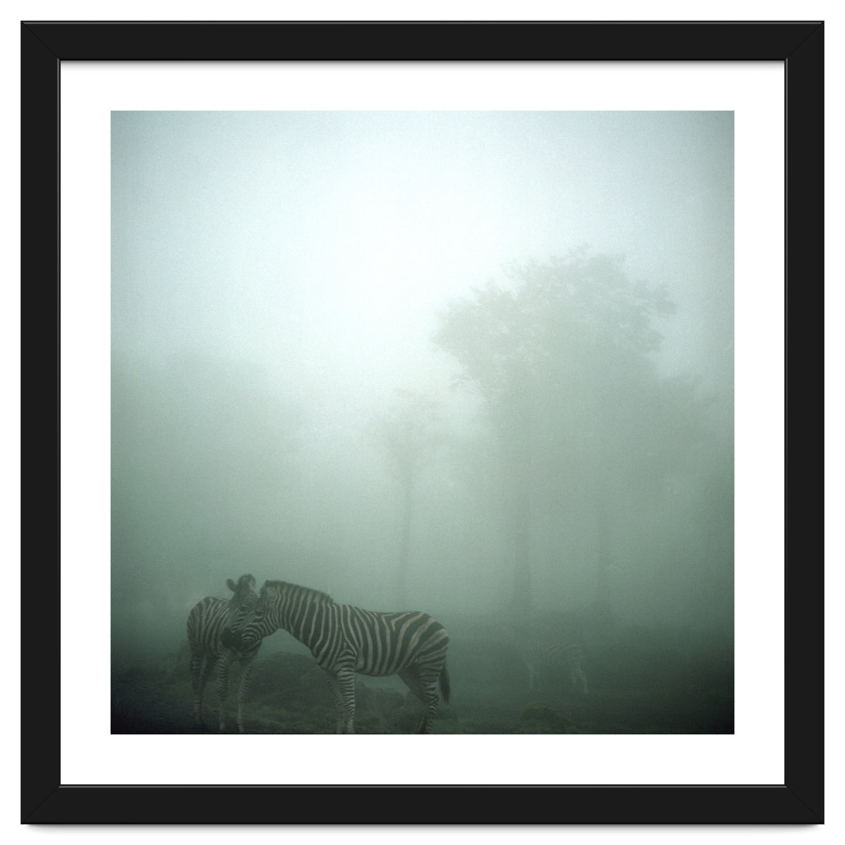 Silence of breath - 15